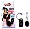 Waterproof Remote Control Vibrating Egg
