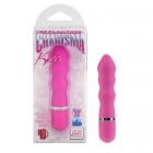 10 Function Charisma Kiss Pink Sex Toy Product