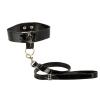 Bound By Diamonds Leash and Collar