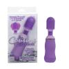 Couture Collection Transcend Purple