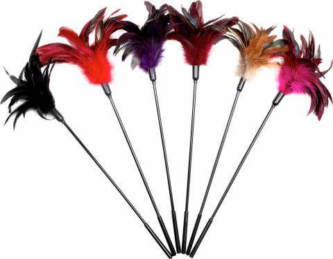 Starburst Feather  6Pc
