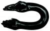 Rascal Double Fister Black
