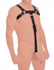 English Bull Dog Harness With Cock Strap Black Sex Toy Product