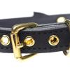Golden Kitty Cat Bell Collar - Black/gold Sex Toy Product Image 3