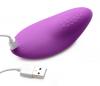 8x Remote Control Panty Vibe Sex Toy Product Image 4