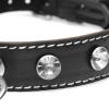 Rhinestone Choker With O-ring - Clear Sex Toy Product Image 4