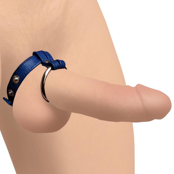 Leather And Steel Cock And Ball Ring - Blue Sex Toy Product