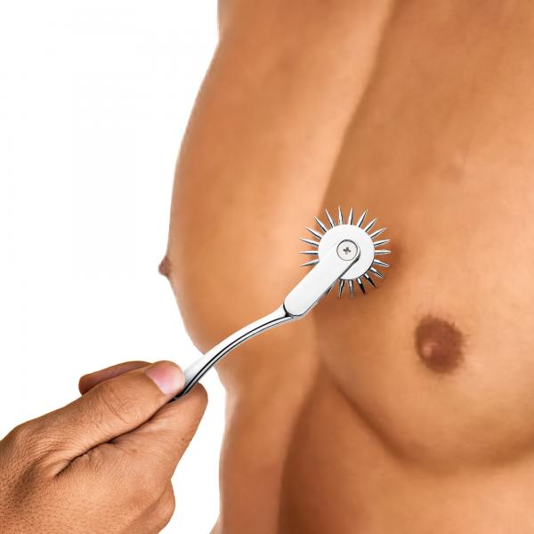 Silver Sensation Wartenberg Wheel Sex Toy Product