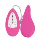 Groove Smooth Silicone Remote Vibe- Pink Sex Toy Product
