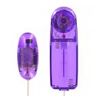 Trinity Vibes Super Charged Bullet Vibe Purple Sex Toy Product