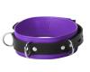 Strict Leather Deluxe Locking Collar Purple Black Sex Toy Product Image 1