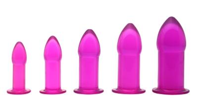 5 Piece Anal Trainer Set - Purple Sex Toy Product