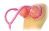 Pink Breast Pumps Sex Toy Product Image 3