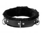 Strict Leather Narrow Fur Lined Locking Collar Black Sex Toy Product
