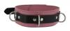 Strict Leather Deluxe Locking Collar - Pink And Black Sex Toy Product Image 2