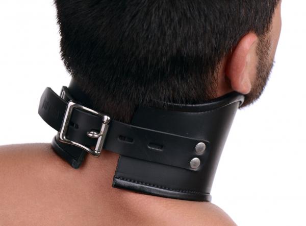 Strict Leather Locking Posture Collar- Medium Sex Toy Product