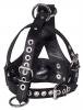 Strict Leather Bishop Head Harness With Removable Gag Sex Toy Product Image 2