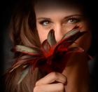 Greygasms Scarlet Plume Feather Tickler Sex Toy Product