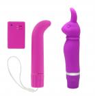 Pocket Rabbit With Free Remote G-Spot Vibe Sex Toy Product