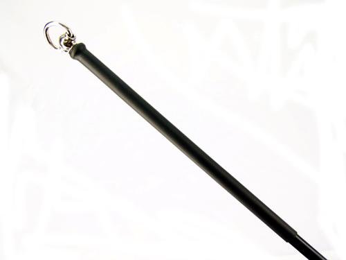 Poly Rod Black Spike Cane Sex Toy Product