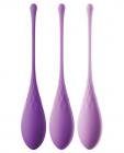 Fantasy For Her Kegel Train-Her Set Purple Sex Toy Product