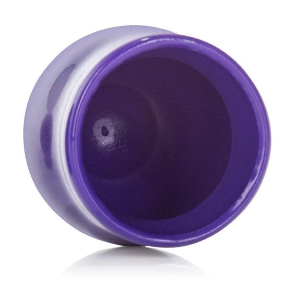 Mini Nipple Suckers Purple Sex Toy Product