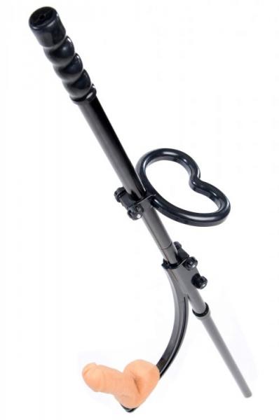 Pleasure Pole with 2 Attachments Sex Toy Product