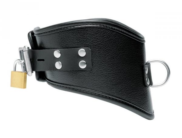 Isabella Sinclaire Leather Posture Collar With Leash Sex Toy Product