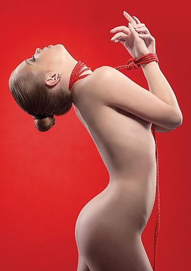 Kinbaku Rope - 10m - Red Sex Toy Product