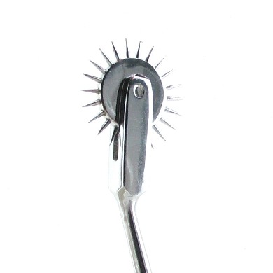 Kinklab wartenberg pinwheel with leather sheath Image 2