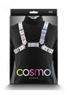 Cosmo Harness Rogue Sm/md Rainbow Image 2
