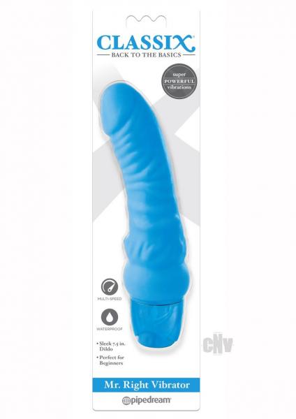 Mr Right Vibrator Blue