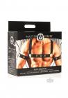 Ms Rave Chest Harness S/m Blk/gld Image 2