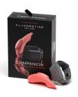 Clandestine Devices Companion Panty Vibe W/wearable Remote - Coral Image 2