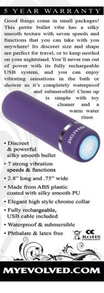 Petite Purple Passion Bullet Vibrator Sex Toy Product