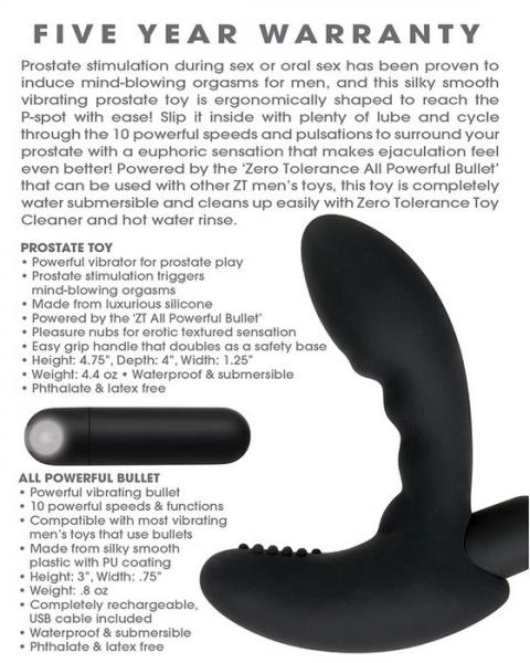 Rechargeable Eternal Prostate Massager Black Sex Toy Product