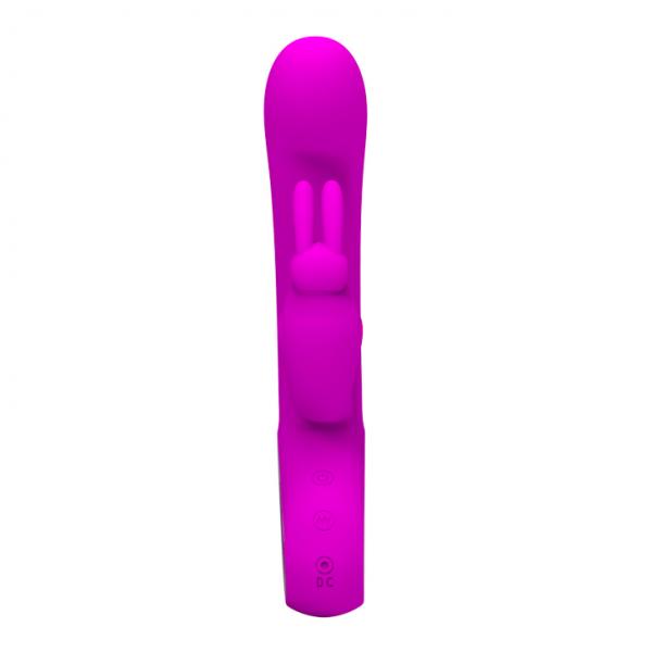 Pretty Love Webb Rabbit Vibrator Fuschia Sex Toy Product