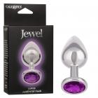 Jewel Large Amethyst Plug Sex Toy Product