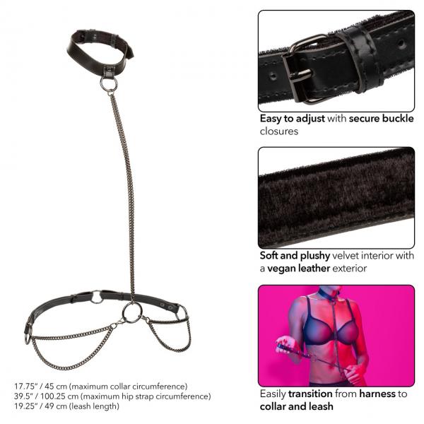 Euphoria Chain Halter Collar & Leash Sex Toy Product