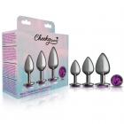 Cheeky Charms Metal Plug Kit Gunmetal Round Deep Purple Sex Toy Product