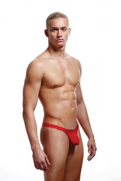 Envy Low Rise Thong Red L/xl Sex Toy Product