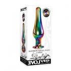 Evolved Rainbow Metal Plug Large Sex Toy Product