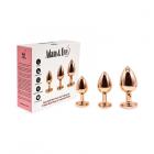 Adam & Eve Rose Gold Pink Heart Anal Plug Training Set Sex Toy Product