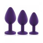 Rianne S 3-piece Booty Plug Set Purple Sex Toy Product