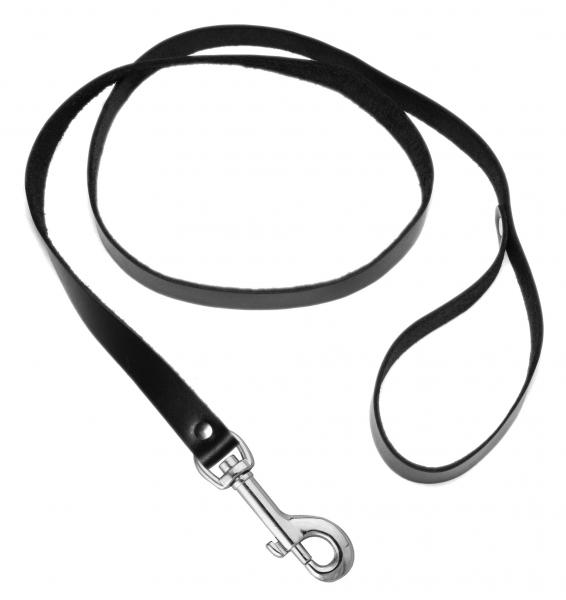 Bad Dog Leash And Spiked Collar Kit Bulk Sex Toy Product
