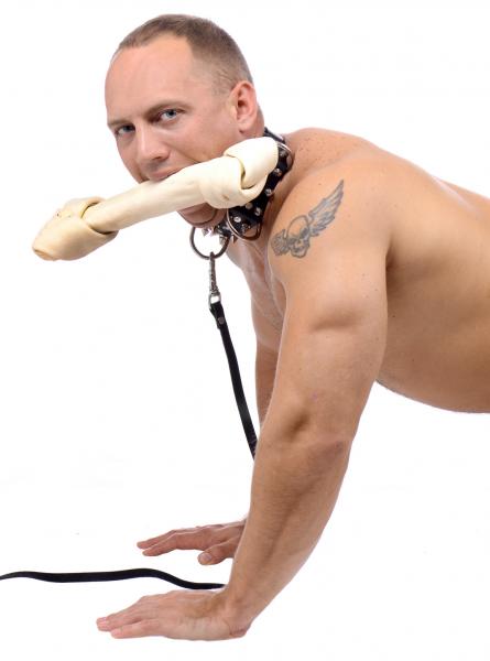 Bad Dog Leash And Spiked Collar Kit Bulk Sex Toy Product