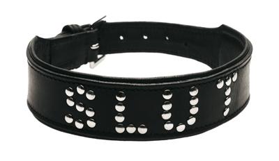 Studded Leather Slut Collar Sex Toy Product