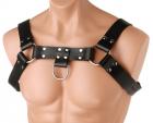English Bull Dog Harness Black Leather Image 3