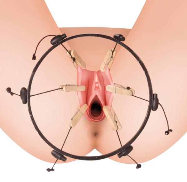 The Pussy Spreader Female Bondage Device Bulk on sex toys puerto