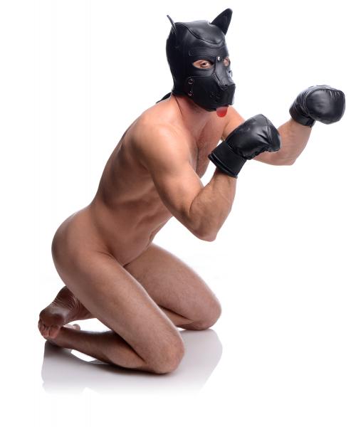 Strict Leather Premium Puppy Play Set Black Sex Toy Product